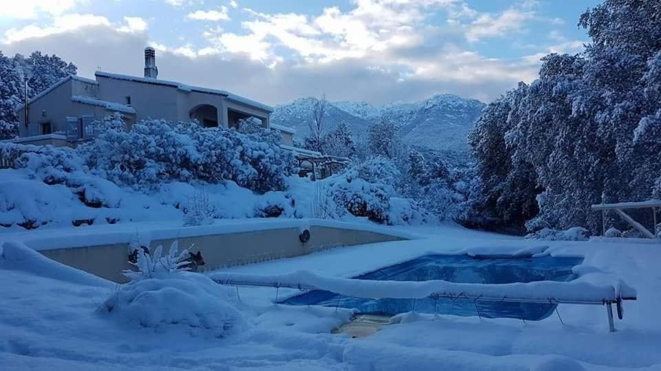 Gites San Austinu Petreto-Bicchisano Buitenkant foto