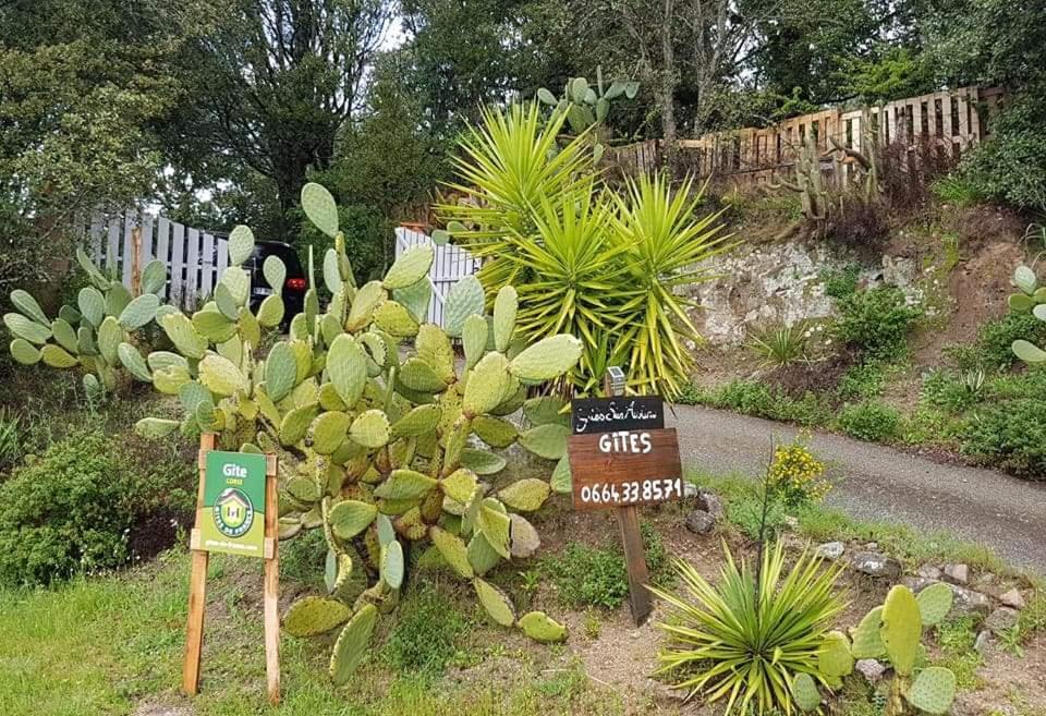 Gites San Austinu Petreto-Bicchisano Buitenkant foto